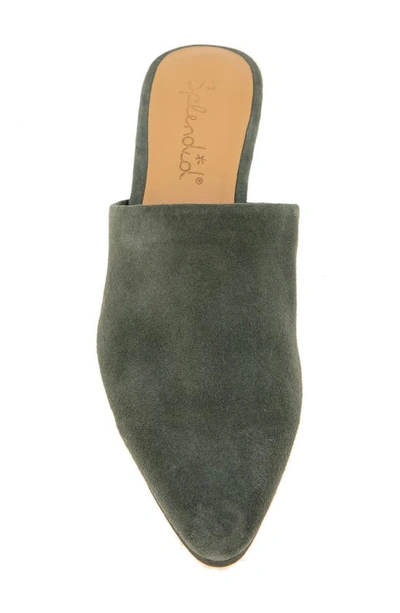 Splendid Women's Lorelei Mules In Olive