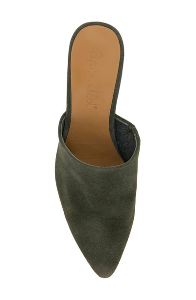 Splendid Women's Lorelei Mules In Olive