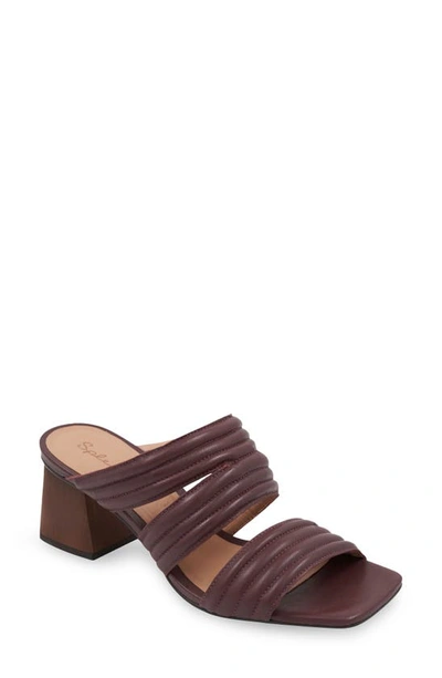 Shop Splendid Kaira Sandal In Raisin