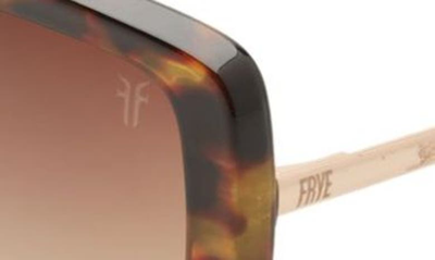 Shop Frye 52mm Gradient Square Sunglasses In Tortoise