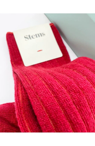 Stems Lux Cashmere Wool Crew Socks In Red