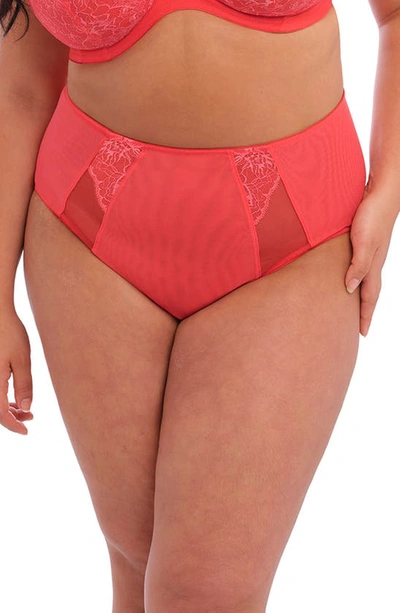 Shop Elomi Brianna Briefs In Cayenne