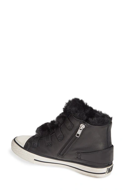 Shop Ash Valko High Top Sneaker In Black/ Black Faux Fur