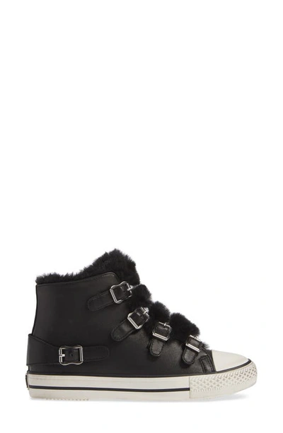 Shop Ash Valko High Top Sneaker In Black/ Black Faux Fur