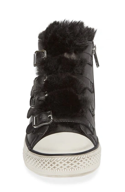 Shop Ash Valko High Top Sneaker In Black/ Black Faux Fur