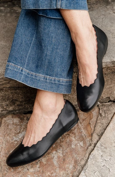 Patricia Green Palm Beach Scalloped Ballet Flat In Black