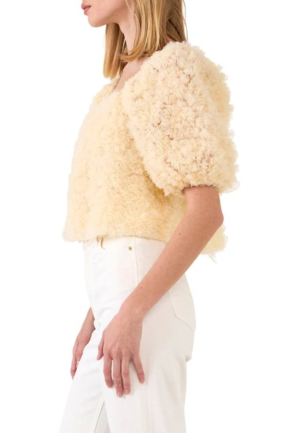 Endless Rose Mesh Fabric Floral Shape Top In Ivory