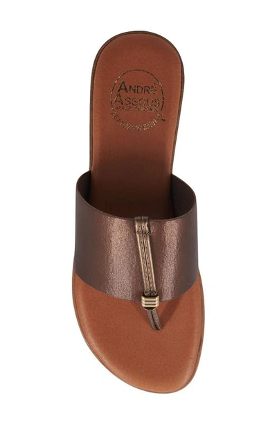 Shop Andre Assous Nice Featherweights™ Slide Sandal In Bronze