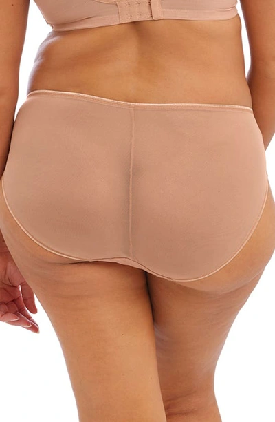 Elomi Matilda Full Figure Bikini In Caf Au Lait