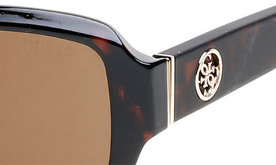 Shop Guess 55mm Rectangular Sunglasses In Dark Havana / Brown