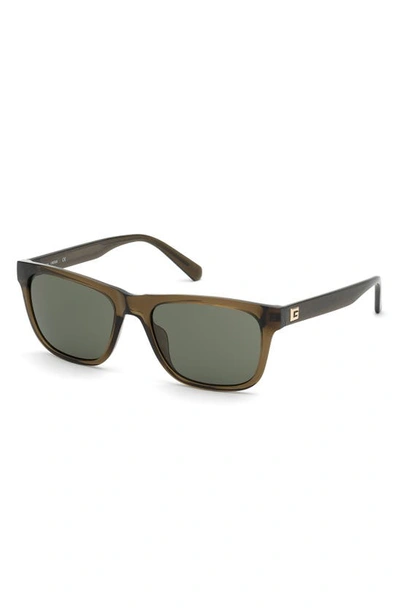 Shop Guess 55mm Square Sunglasses In Shiny Light Brown / Green