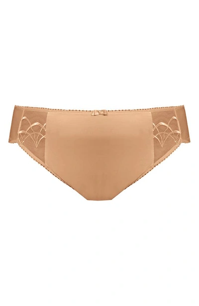 Elomi Cate Full Figure Briefs In Hazel