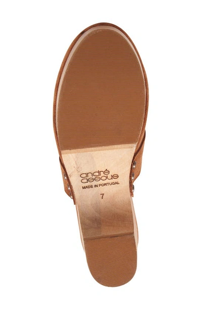 Shop Andre Assous Soraya Water Resistant Clog In Cuero