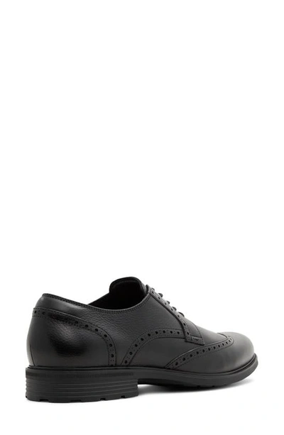 Aldo Laurier Wingtip Derby In Black