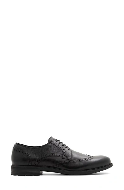 Aldo Laurier Wingtip Derby In Black