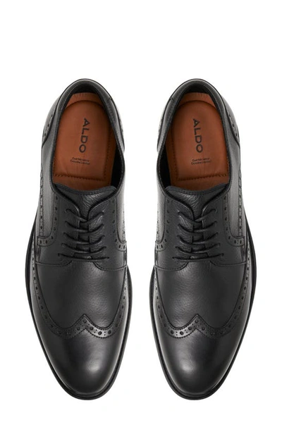 Aldo Laurier Wingtip Derby In Black