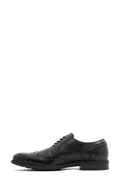 Aldo Laurier Wingtip Derby In Black