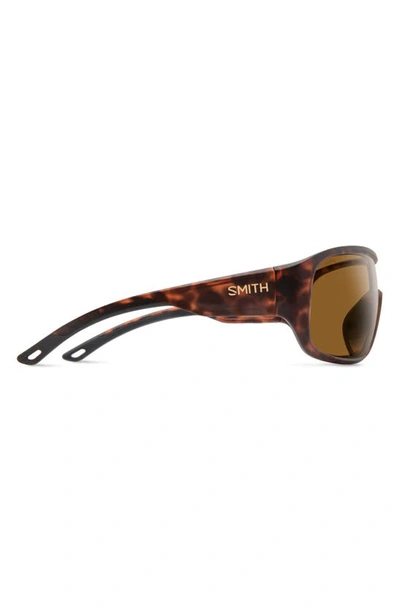 Shop Smith Spinner 134mm Chromapop™ Polarized Shield Sunglasses In Matte Tortoise / Brown