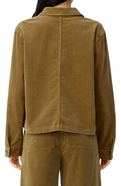 Shop Eileen Fisher Organic Cotton Stretch Corduroy Jacket In Butternut