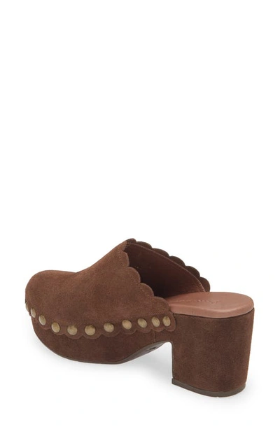 Chocolat Blu Gemini Platform Clog In Chocolate Suede