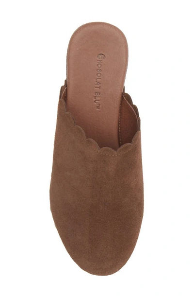 Chocolat Blu Gemini Platform Clog In Chocolate Suede