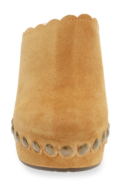 Chocolat Blu Gemini Platform Clog In Tan Suede