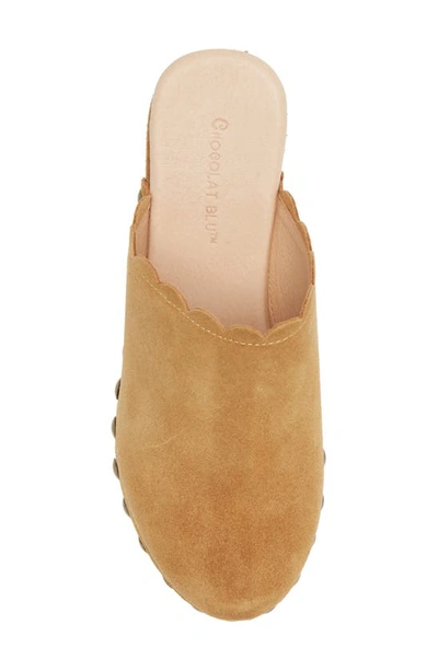 Chocolat Blu Gemini Platform Clog In Tan Suede