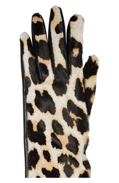 Shop Dries Van Noten Leopard Calf Hair Opera Gloves In Sand
