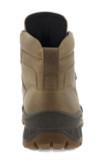 Shop Ecco Track 25 Boot In Nutmeg Brown