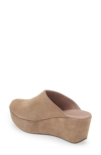 Chocolat Blu Yoma Platform Clog In Taupe Suede