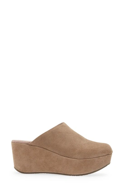 Chocolat Blu Yoma Platform Clog In Taupe Suede