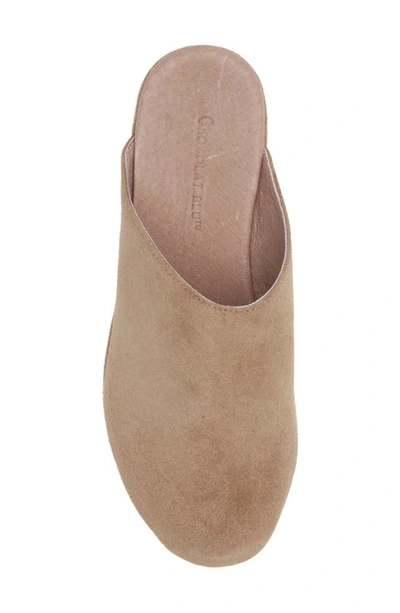 Chocolat Blu Yoma Platform Clog In Taupe Suede