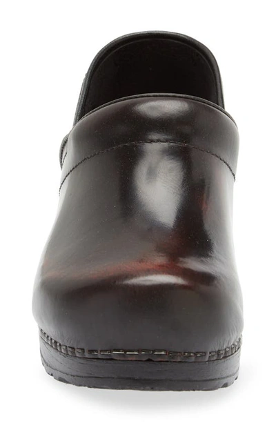 Shop Sanita Professional Cabrio Clog In Bordeaux