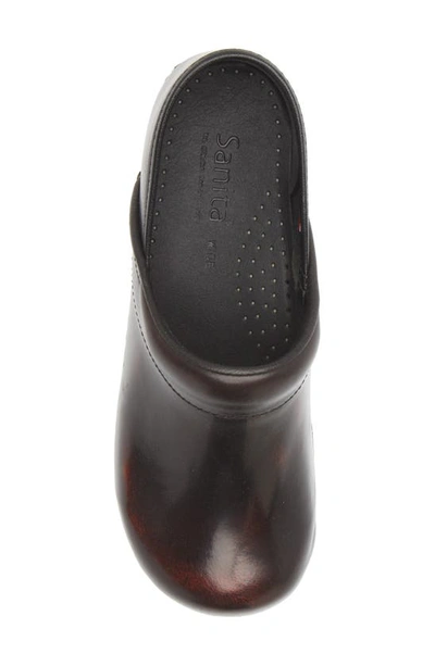 Sanita Professional Cabrio Clog In Bordeaux