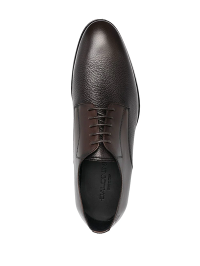 Shop Baldinini Round-toe Panelled Derby Shoes In Brown