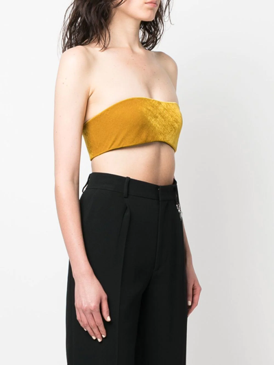Roberto Cavalli Strapless Cropped Top In Neutrals