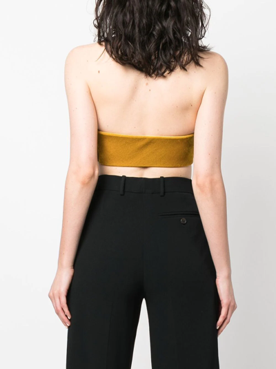 Roberto Cavalli Strapless Cropped Top In Neutrals