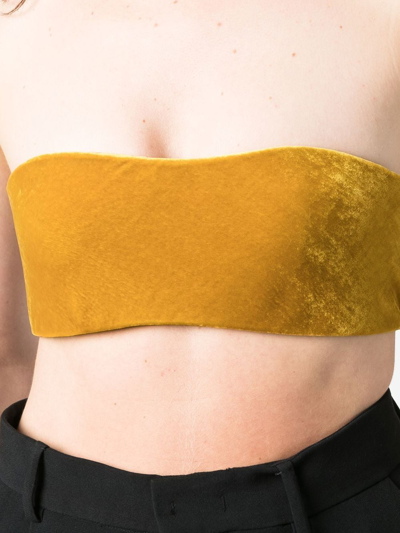 Roberto Cavalli Strapless Cropped Top In Neutrals
