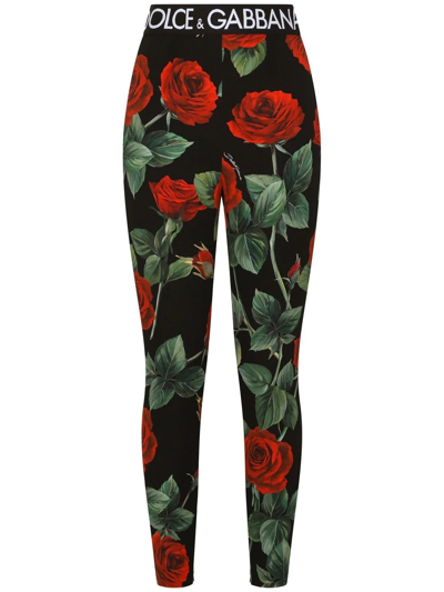 Shop Dolce & Gabbana Rose-print Charmeuse Leggings In Black