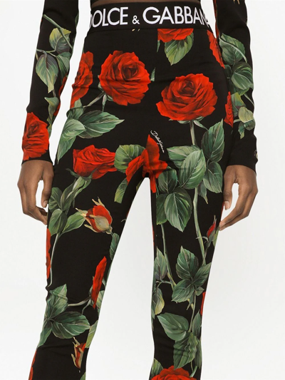 Shop Dolce & Gabbana Rose-print Charmeuse Leggings In Black