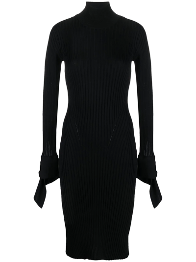 Shop Ami Alexandre Mattiussi High-neck Ribbed Knit Dress In Schwarz
