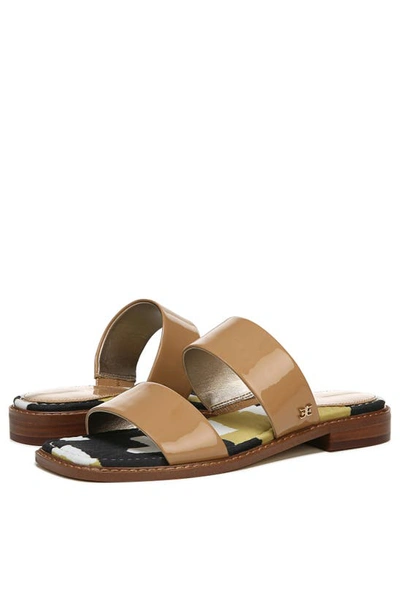 Shop Sam Edelman Haydee Sandal In Blush Multi