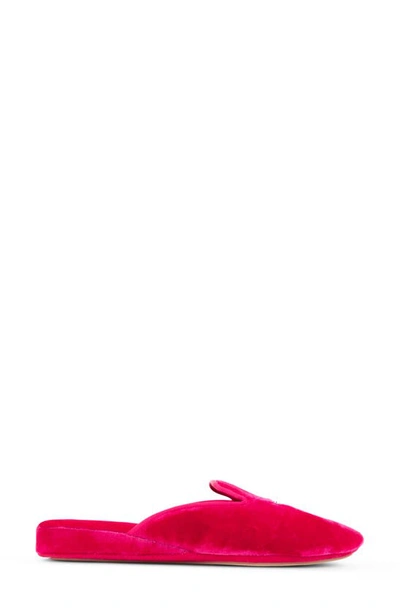 Patricia Green Women's Pink / Purple Queen Bee Embroidered Slipper Hot Pink In Hot Pink