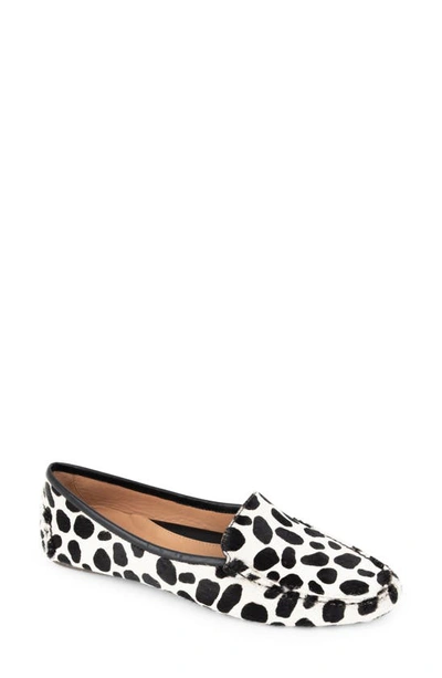 Shop Patricia Green 'jillian' Loafer In Black And White Dalmatian