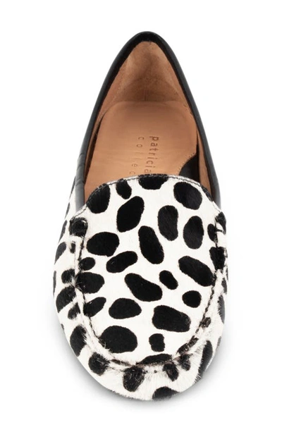 Shop Patricia Green 'jillian' Loafer In Black And White Dalmatian