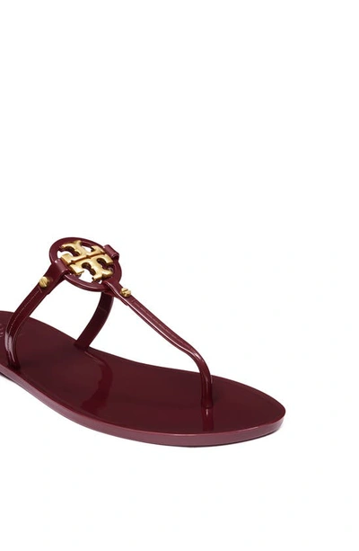 Shop Tory Burch Mini Miller Jelly Thong Sandal In Bordeaux