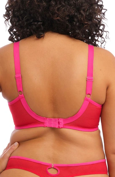 Elomi Kintai Full Coverage Mesh Underwire Bra In Cha Cha