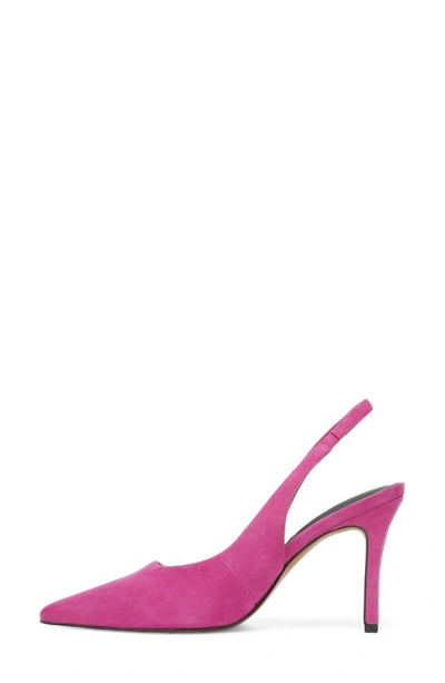 Shop Franco Sarto Averie Slingback Pump In Orchid Flower