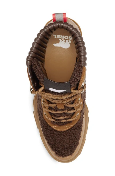 Sorel Brex™ Leather & Faux Shearling Block Heel Lace-up Bootie In Tawny Buff Blackened Brown