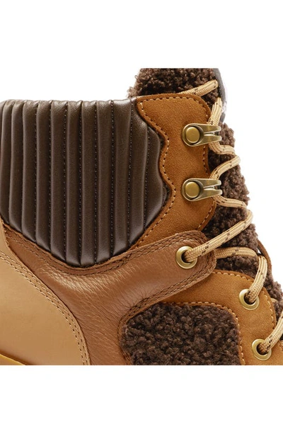 Sorel Brex™ Leather & Faux Shearling Block Heel Lace-up Bootie In Tawny Buff Blackened Brown